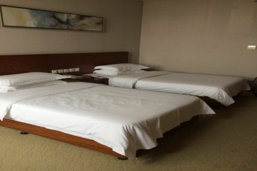 Nanjing Expo Center Hotel Екстер'єр фото