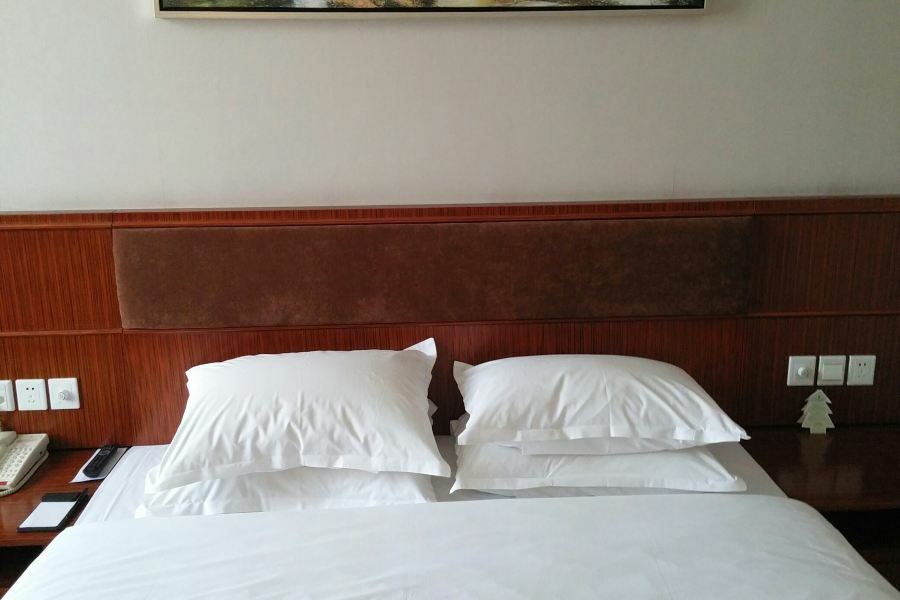 Nanjing Expo Center Hotel Екстер'єр фото